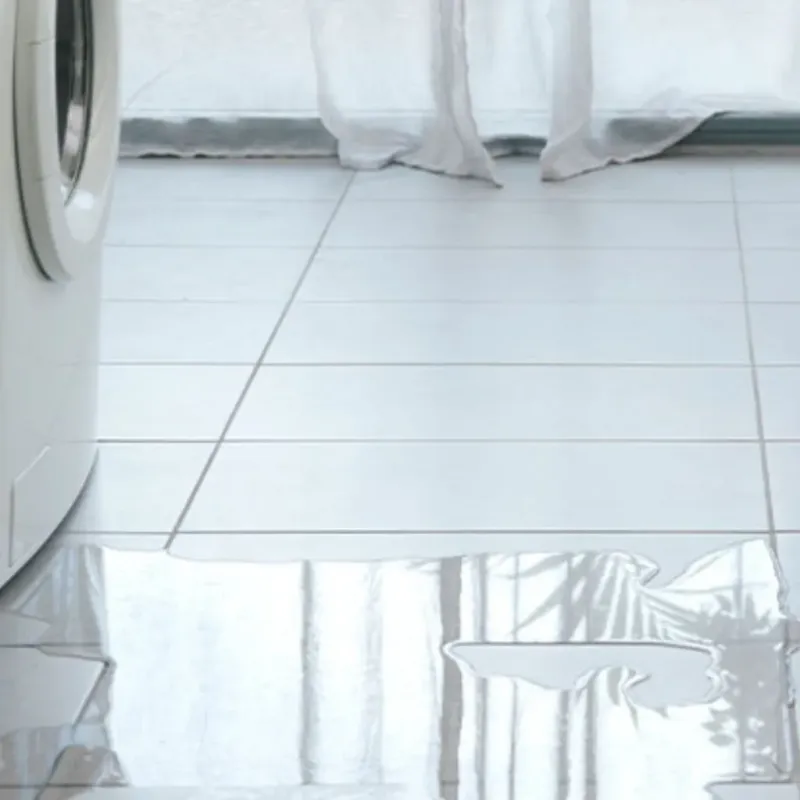Appliance Leak Cleanup in Buchanan, MI