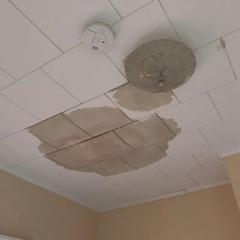 Ceiling Water Damage Repair in Buchanan, MI
