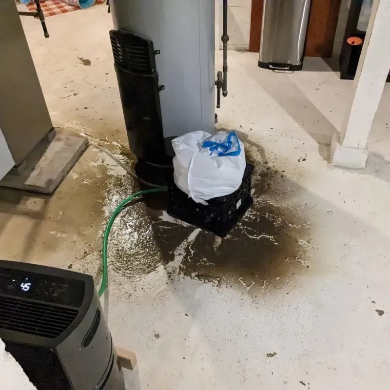 Sewage Backup Cleanup Service in Buchanan, MI